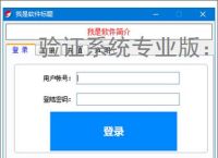 验证系统专业版：多维度软件防护方案解析