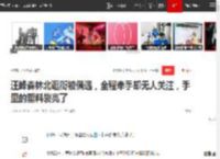 汪峰森林北逛街被偶遇，全程牵手却无人关注，手里的塑料袋亮了|峰哥|汪峰牵手宁静_网易订阅
