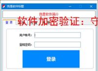 软件加密验证：守护数字资产安全的核心技术