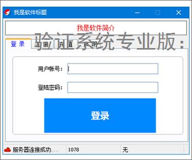 验证系统专业版：多维度软件防护方案解析