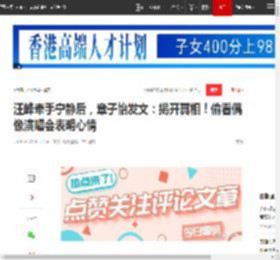汪峰牵手宁静后，章子怡发文：揭开真相！偷看偶像演唱会表明心情|情歌|王力宏|娱乐圈_网易订阅