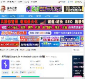 Burp Suite Pro免费下载 渗透测试软件Burp Suite Professional v2025.4.4 免费版 下载-脚本之家